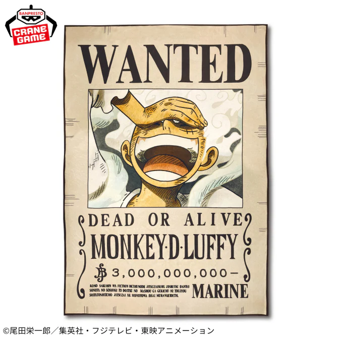 One Piece Monkey D. Luffy Wanted Poster Blanket - 45 Inches