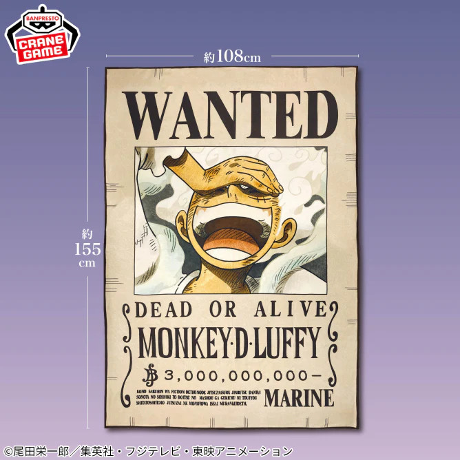 One Piece Monkey D. Luffy Wanted Poster Blanket - 45 Inches - Image 2