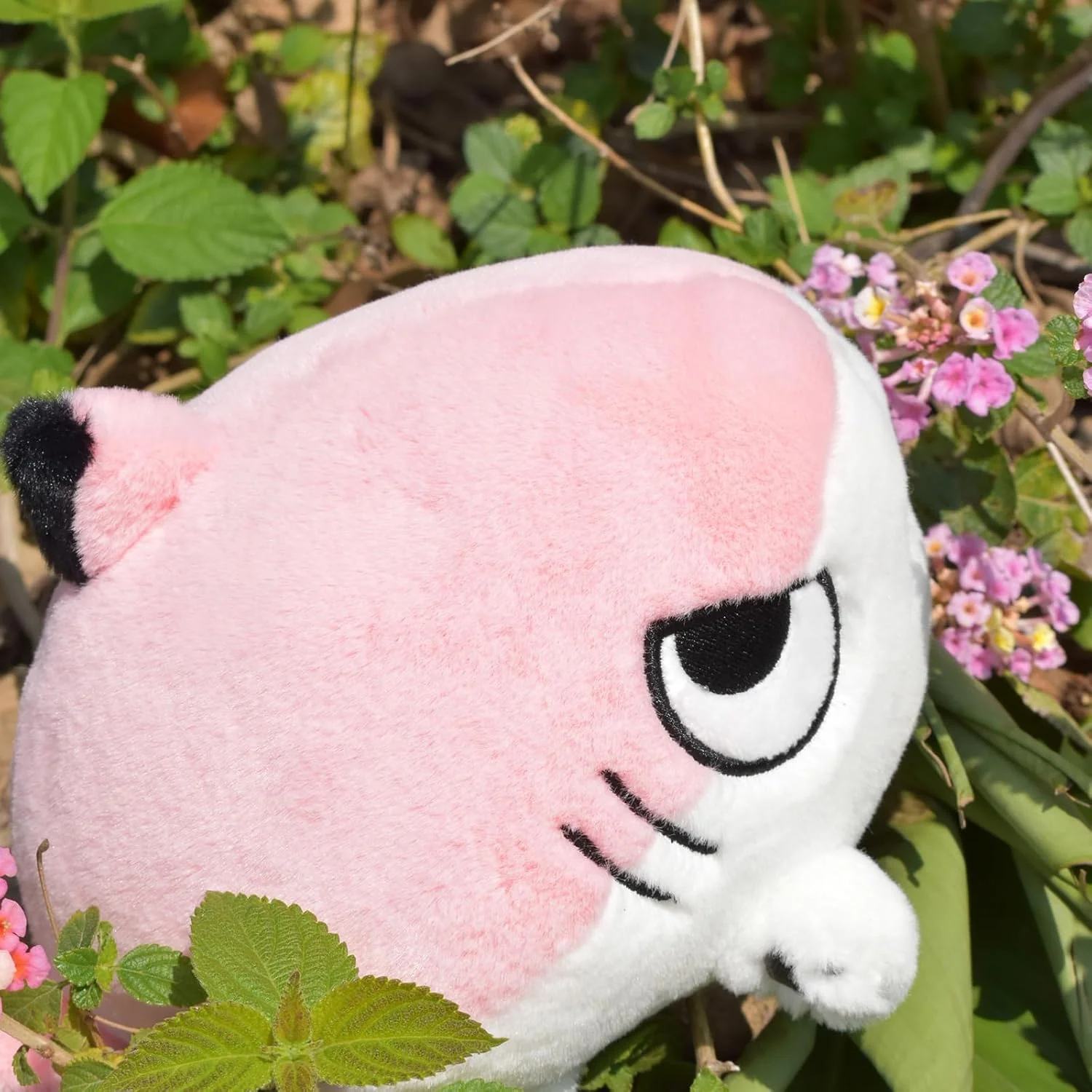 Sharkitty Shark Cat Cub Series Small Pink Plush - 20cm - Image 6